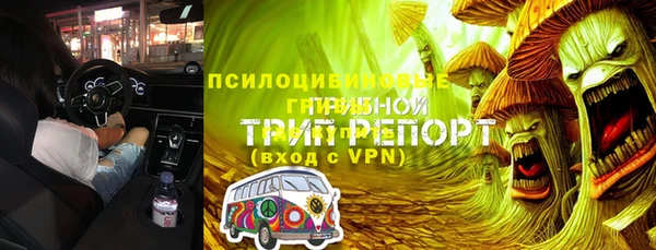дурь Алексеевка