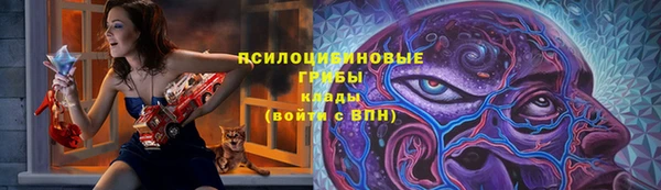 дурь Алексеевка
