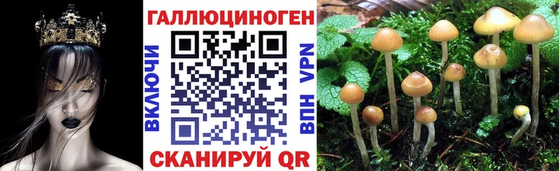 Галлюциногенные грибы Psilocybine cubensis  наркошоп  блэк спрут tor  Крым 
